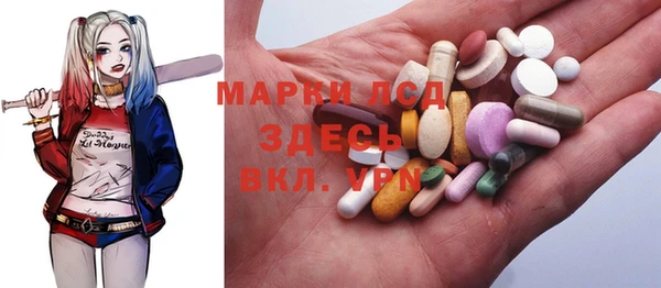 молекула духа Богородицк