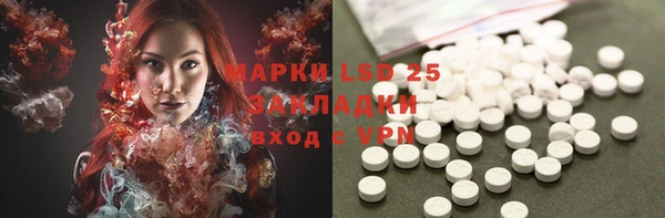 стаф Белокуриха