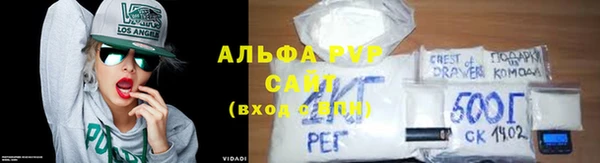 первитин Богданович