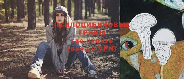амф Беломорск