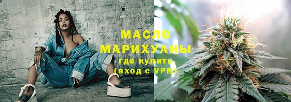 молекула духа Богородицк