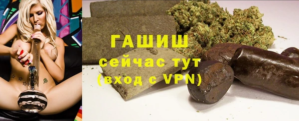 стаф Белокуриха