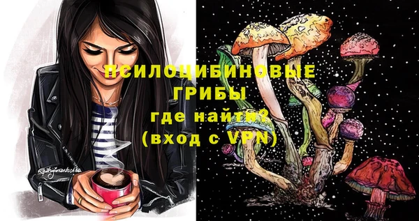 стаф Белокуриха