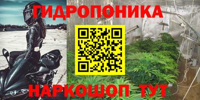 соль ск Балахна