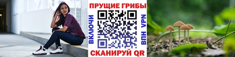 Галлюциногенные грибы Cubensis  цена   Губкинский 