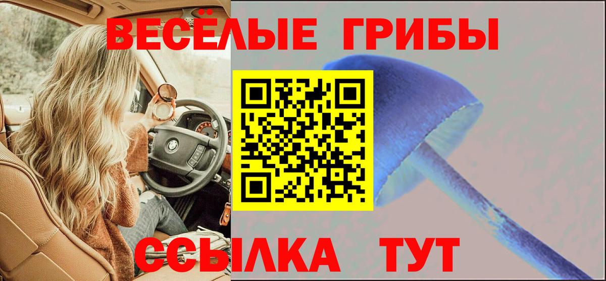 Галлюциногенные грибы MAGIC MUSHROOMS Губкинский
